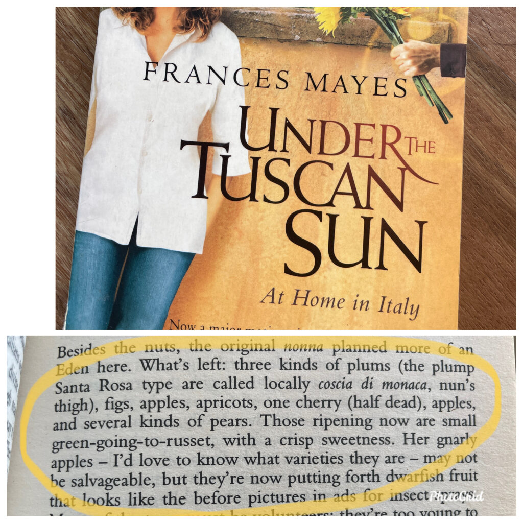 Quote about the orchard from Under the Tuscan Sun book by Frances Mayes