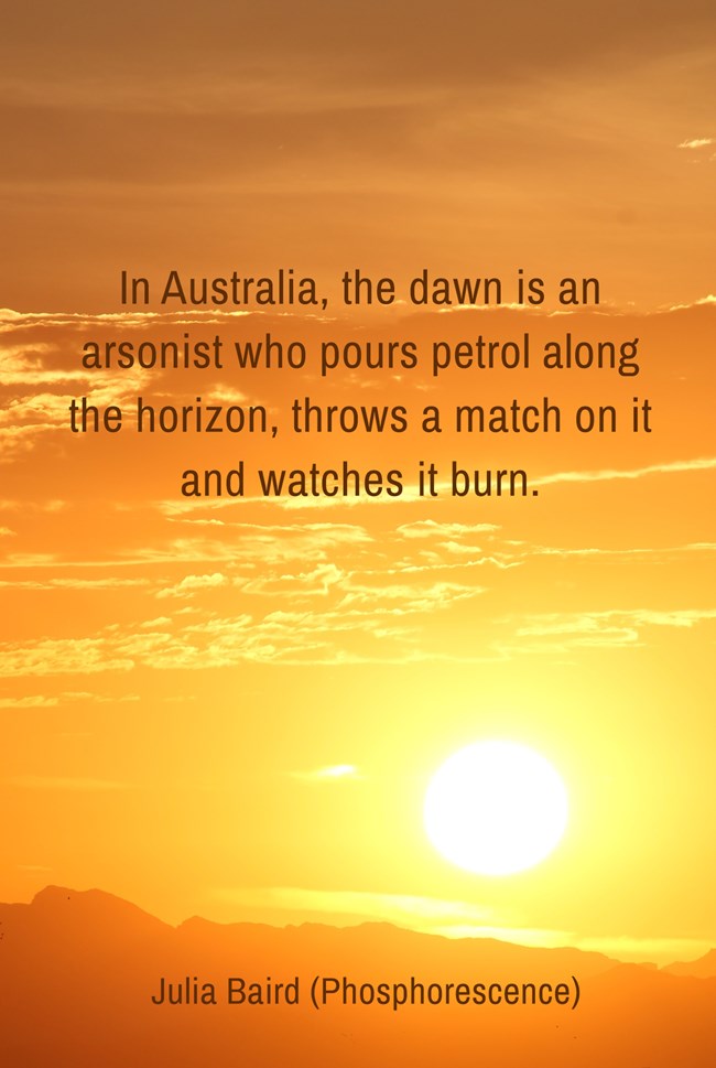 the dawn is an arsonist