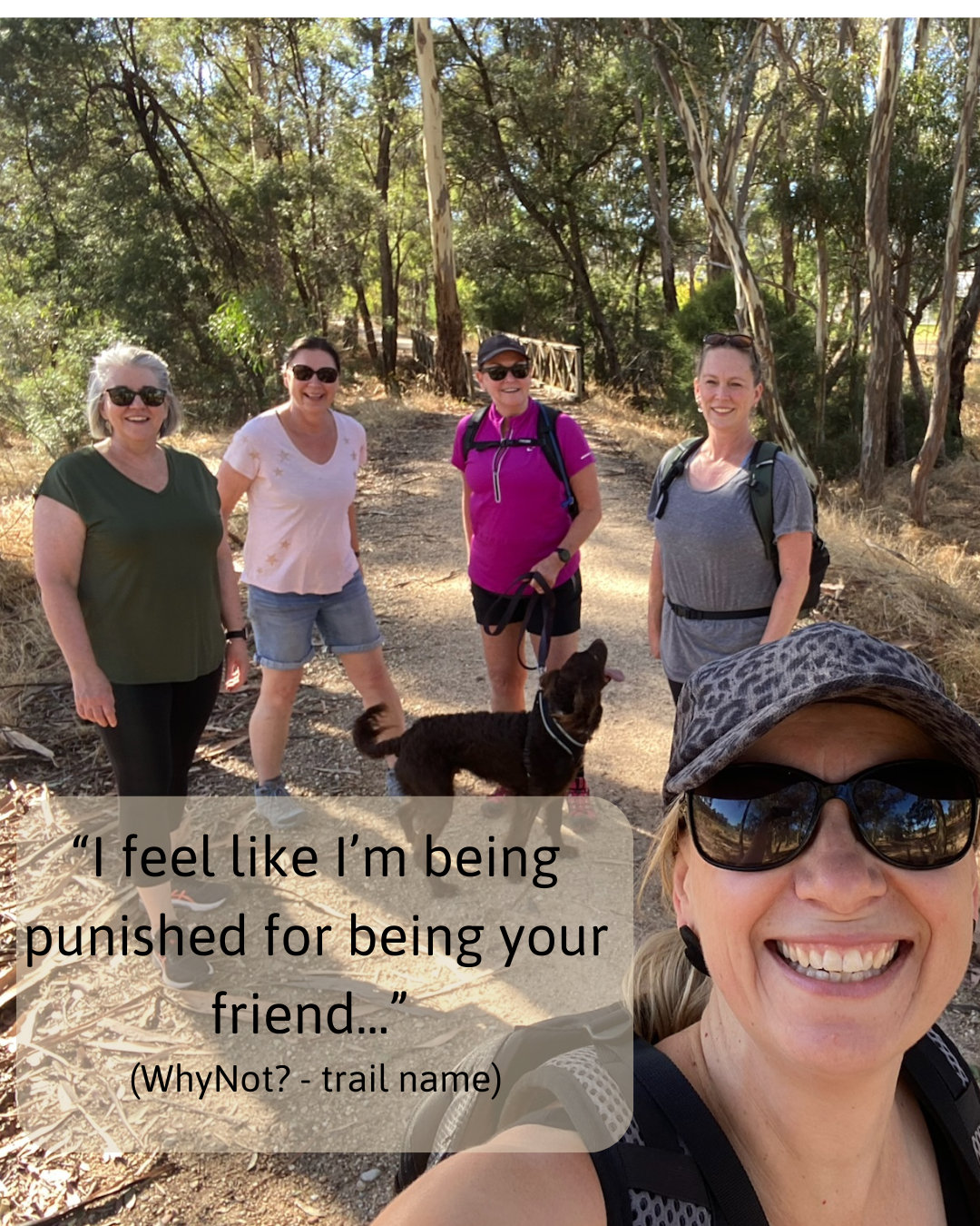 flamingo flock friends hike