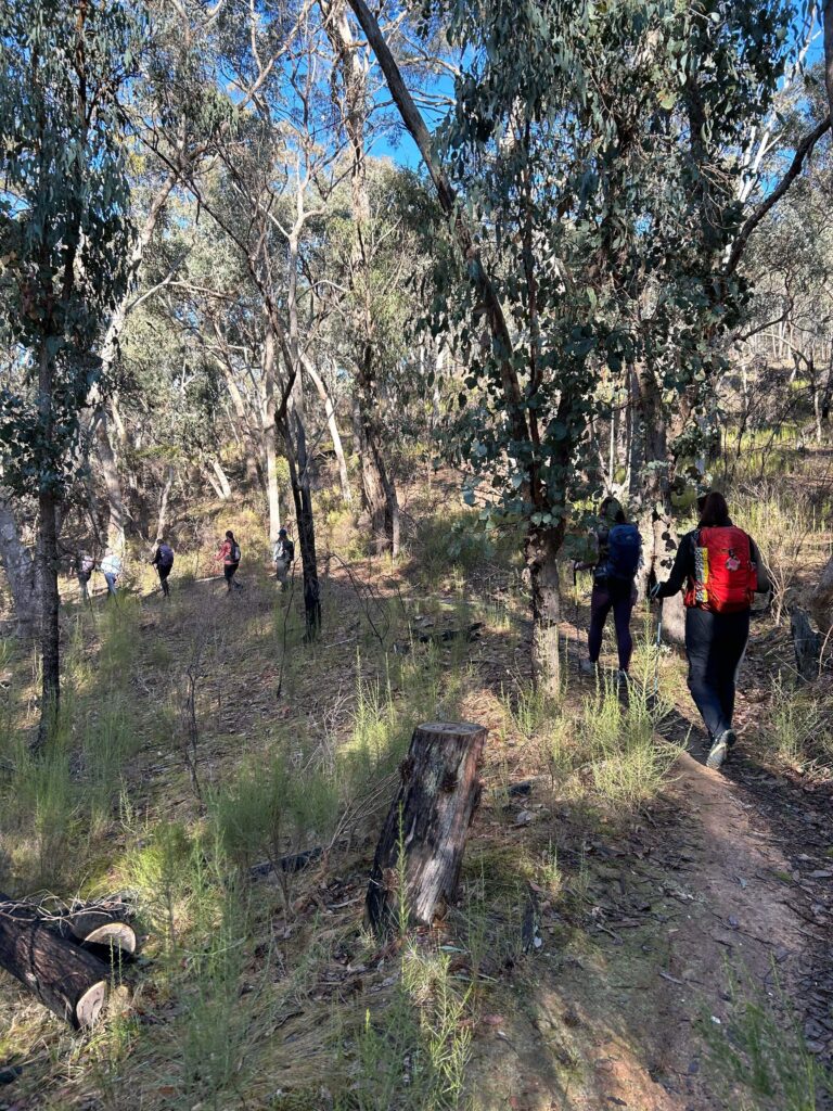 friends hike flamingo flock