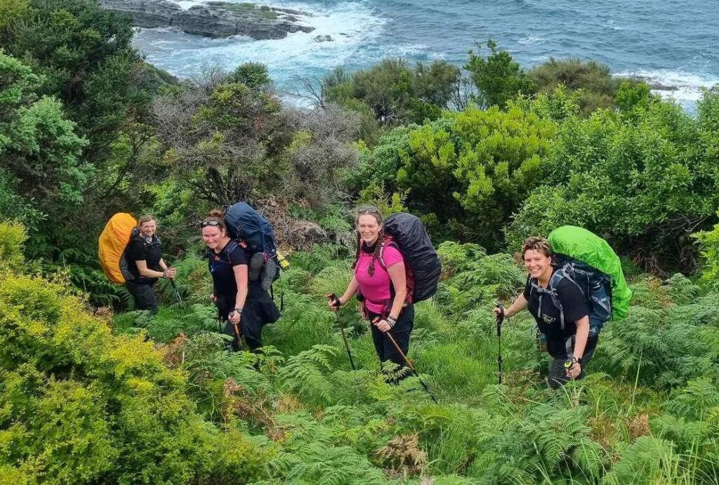 GOW Great Ocean Walk hike flamingo flock