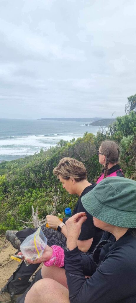 GOW Great Ocean Walk hike flamingo flock