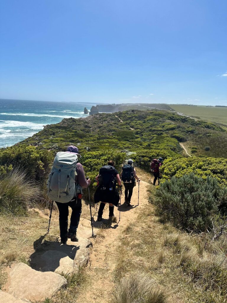 GOW Great Ocean Walk hike flamingo flock
