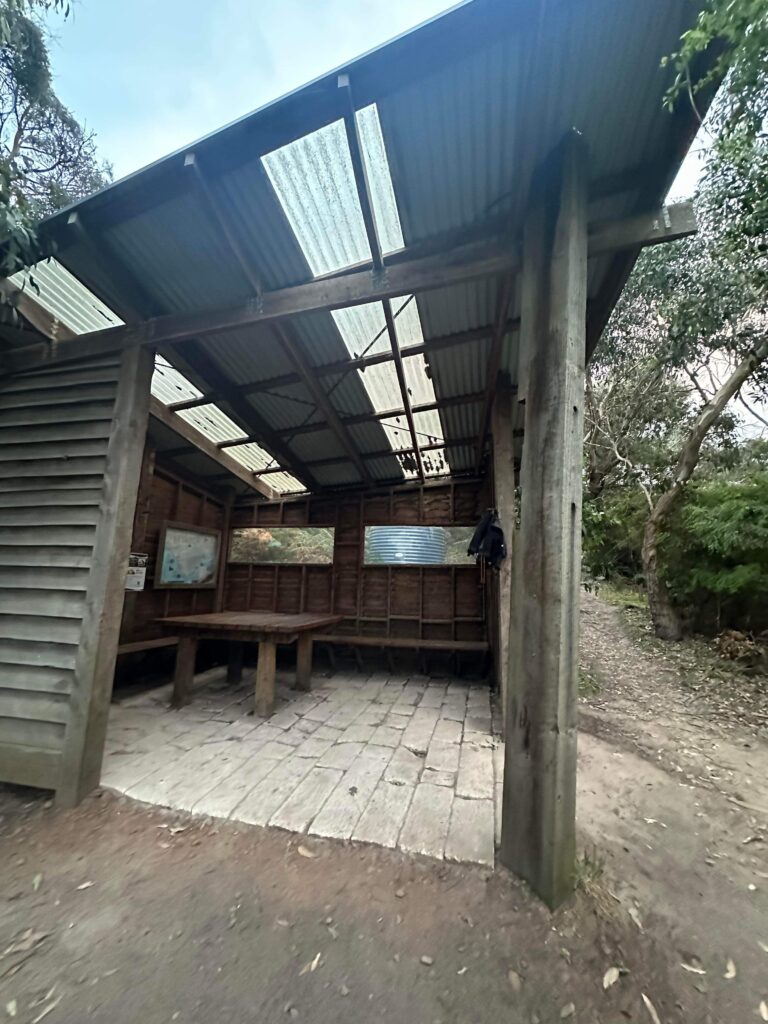 GOW Great Ocean Walk hike flamingo flock