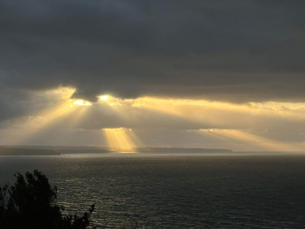 GOW Great Ocean Walk hike flamingo flock