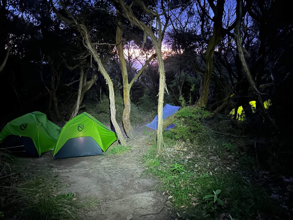 GOW Great Ocean Walk hike flamingo flock