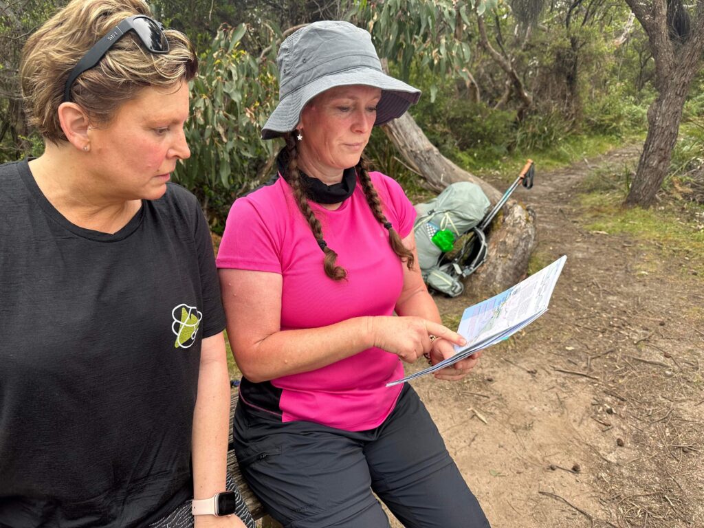 GOW Great Ocean Walk hike flamingo flock