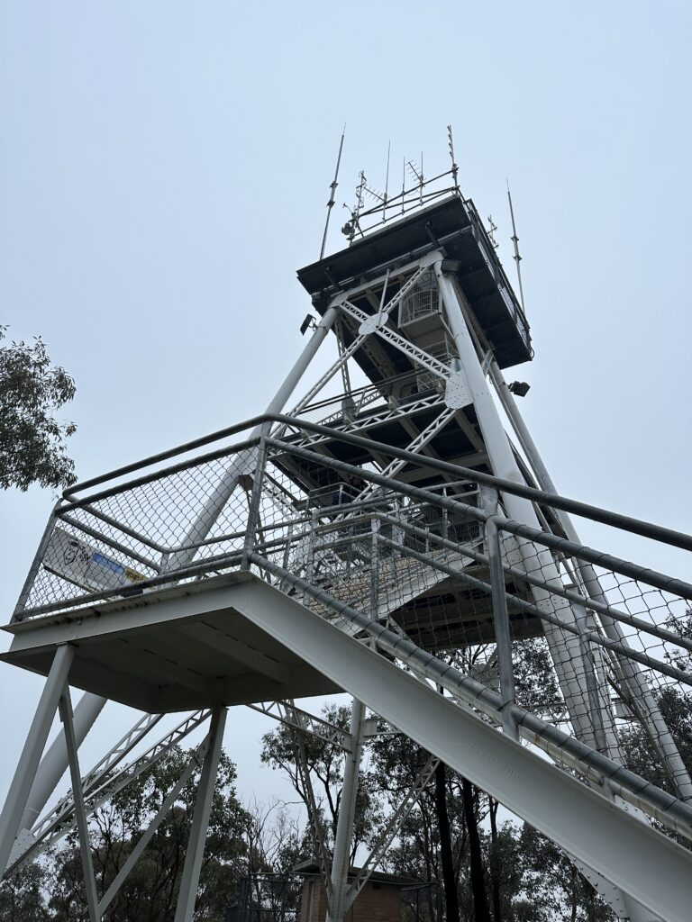 50 hikes flamingo flock