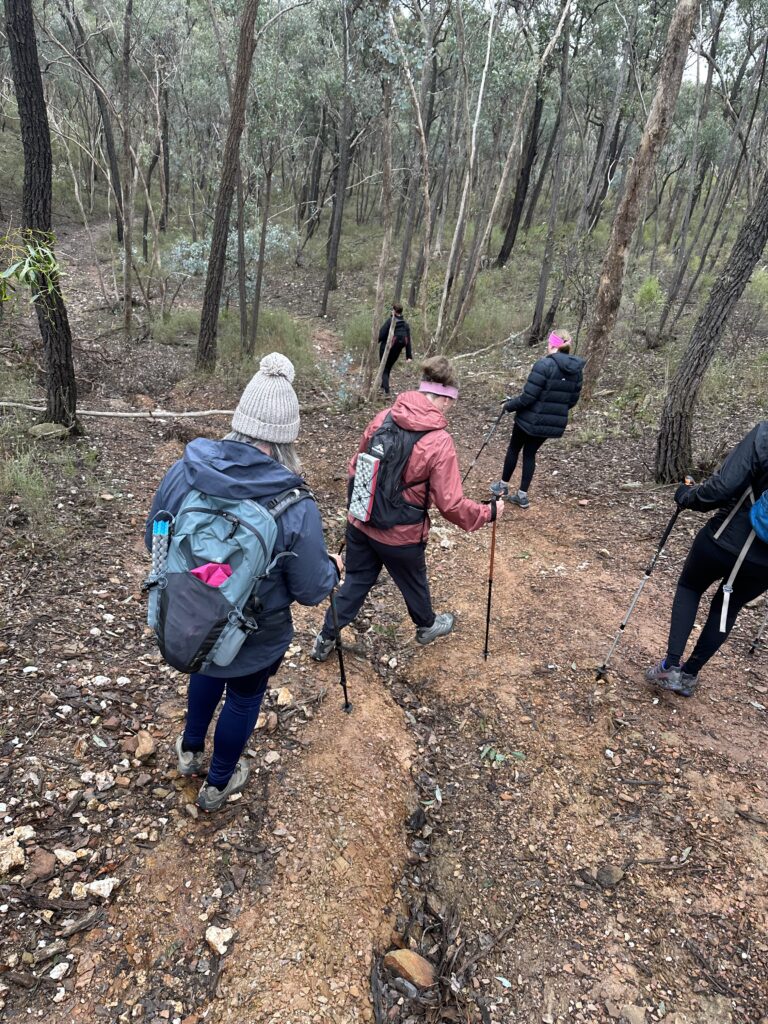 50 hikes flamingo flock