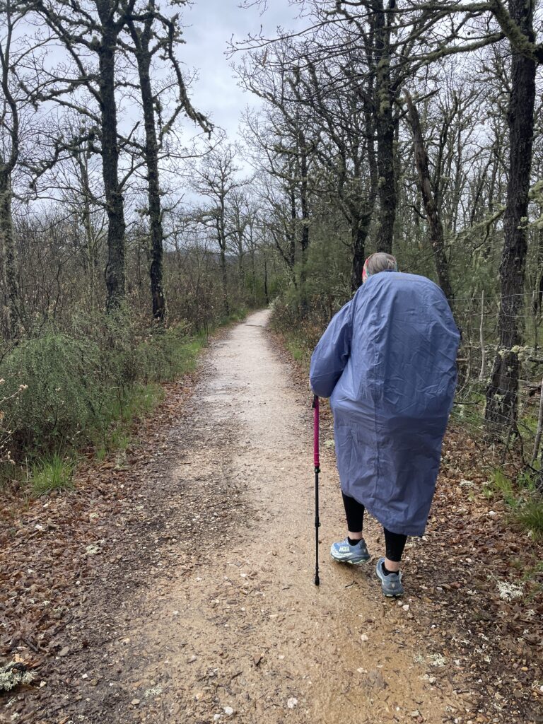 camino flamingo flock hike