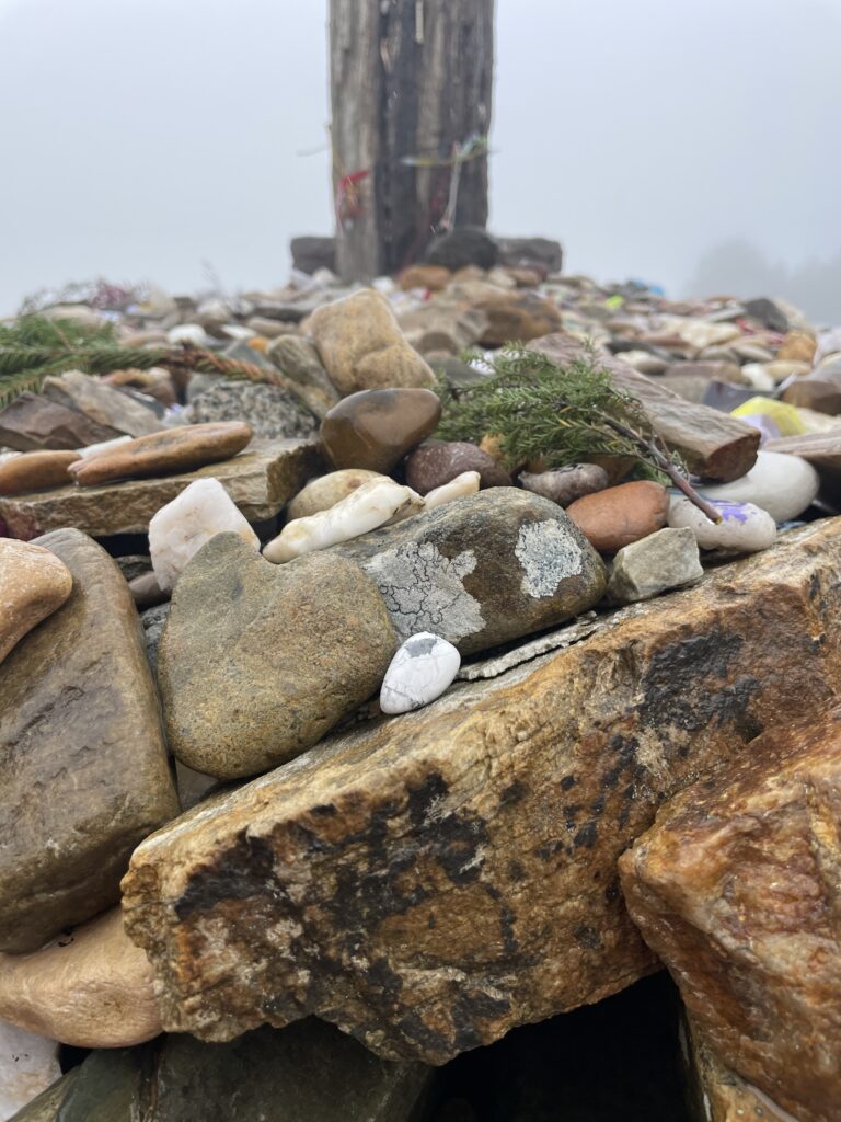 camino flamingo flock hike