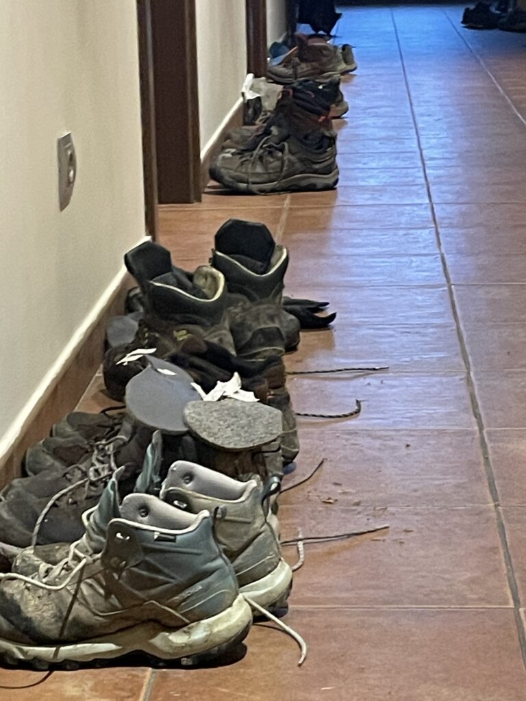 camino flamingo flock hike