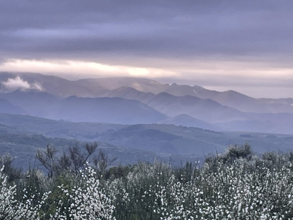 camino flamingo flock hike