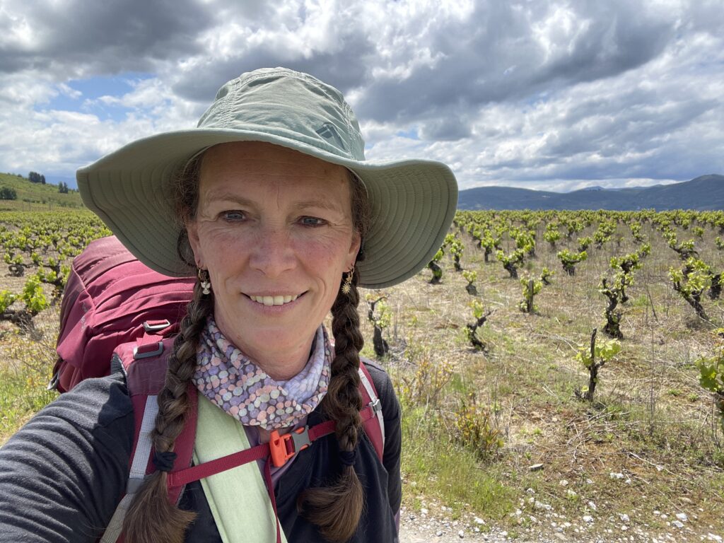 camino flamingo flock hike