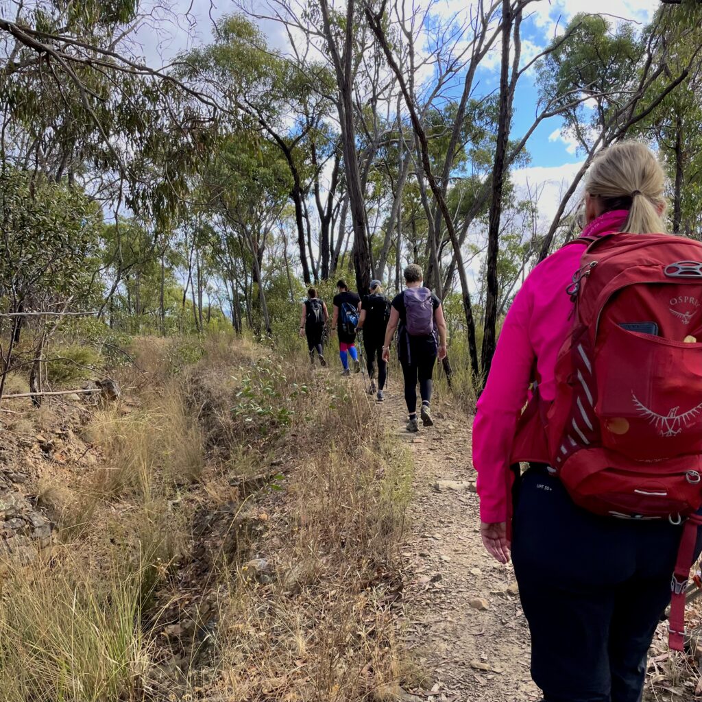 50 hikes flamingo flock