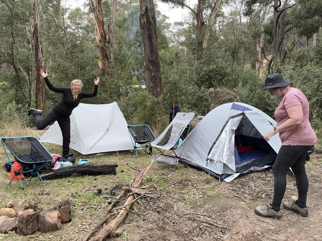 50 hikes flamingo flock