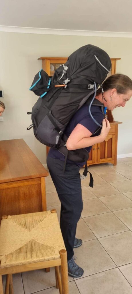 50 hikes flamingo flock