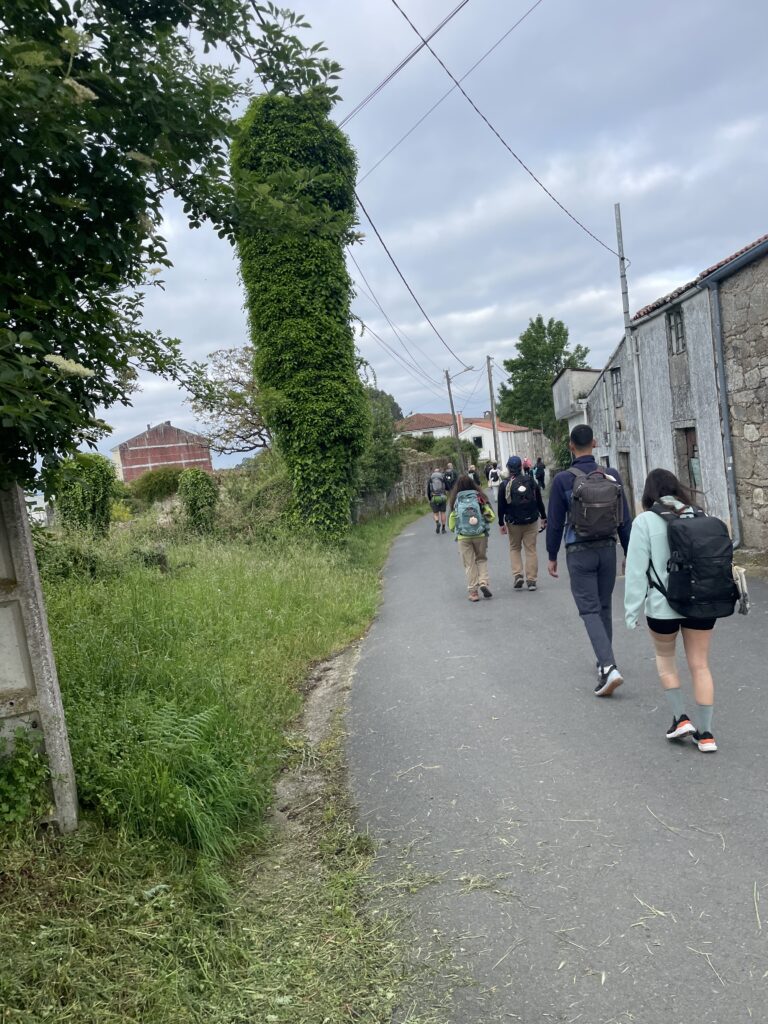 camino flamingo flock hike