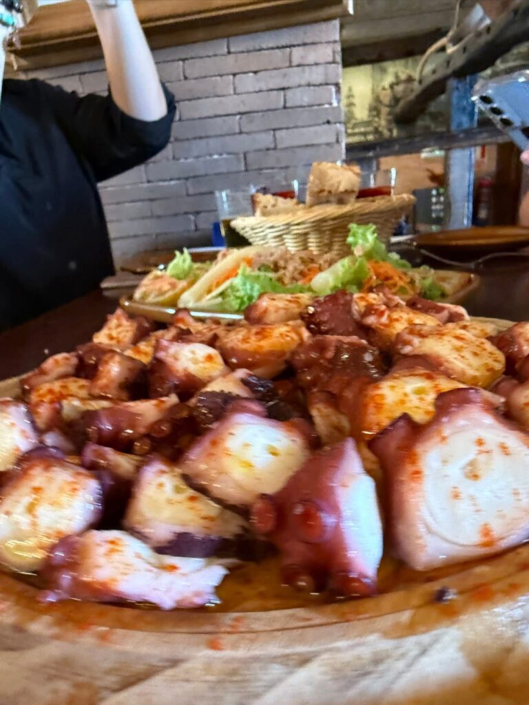 flamingo camino pulpo octopus