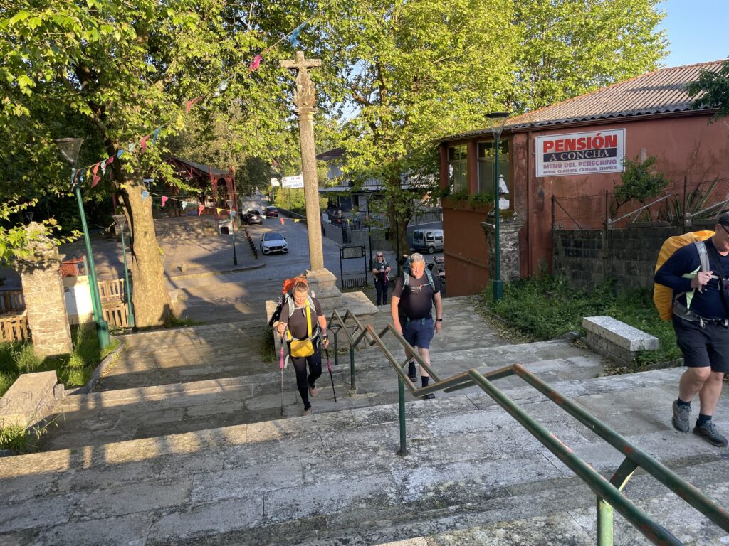 camino flamingo flock hike