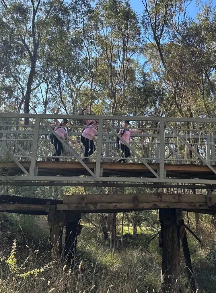 50 hikes flamingo flock