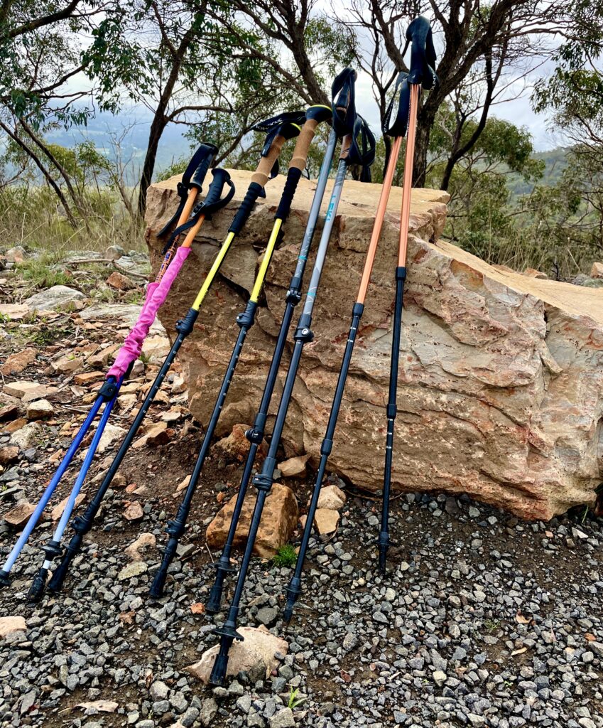 50 hikes flamingo flock