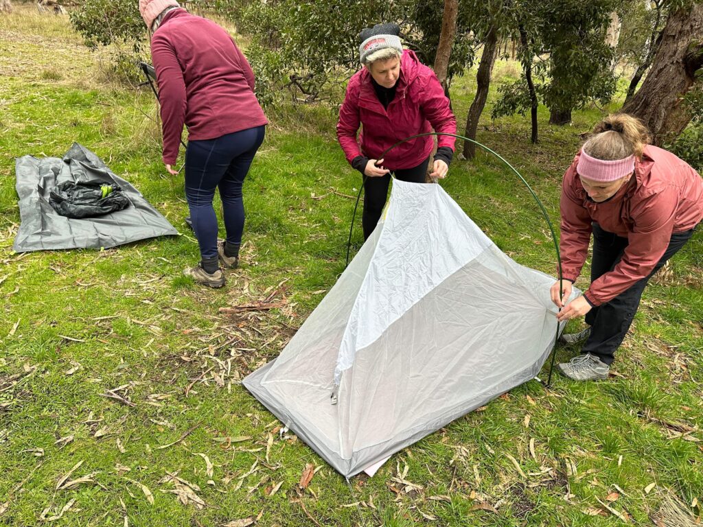 50 hikes flamingo flock