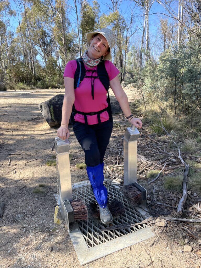 50 hikes flamingo flock