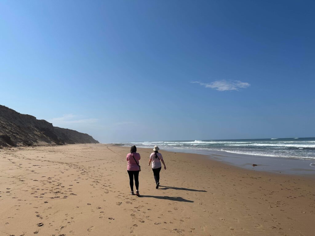 50 hikes flamingo flock