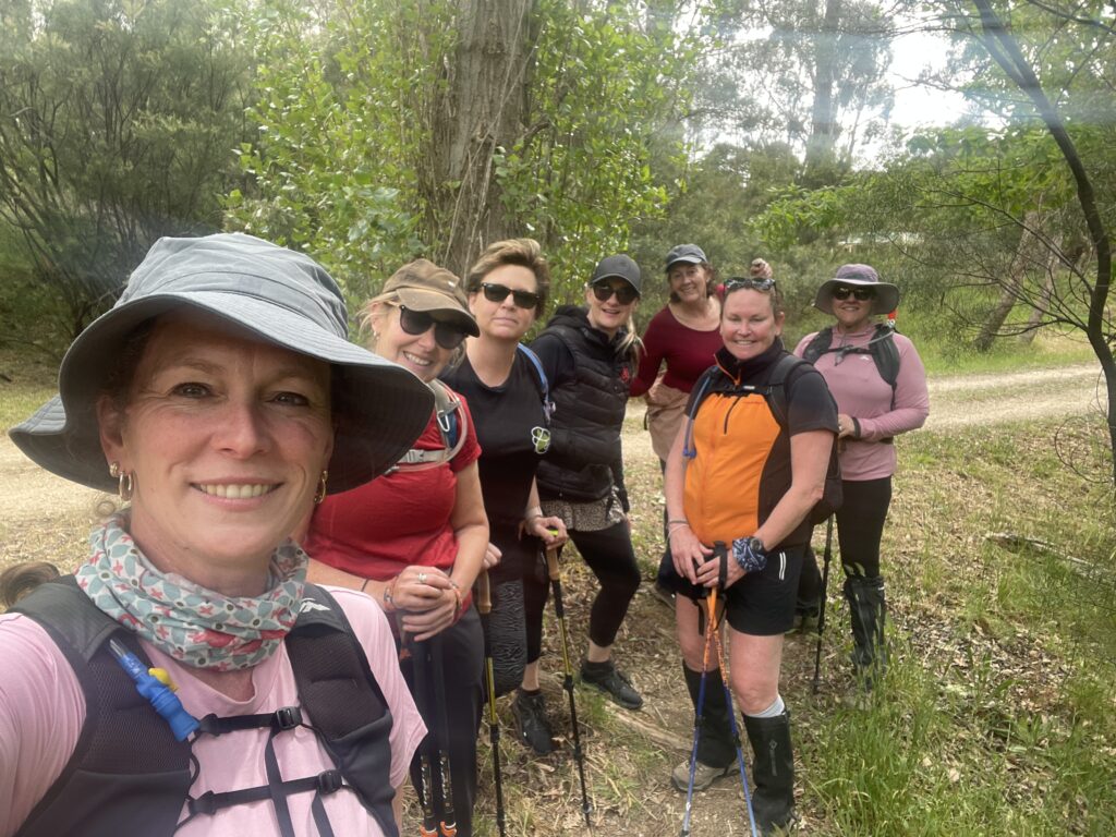 50 hikes flamingo flock