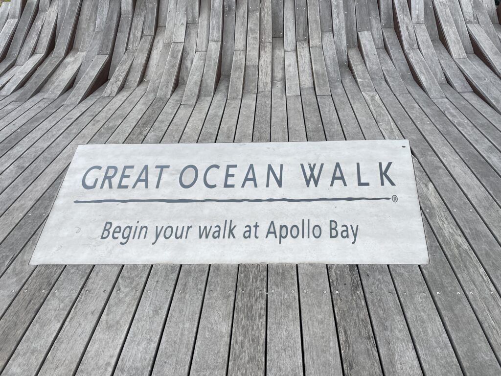 GOW Great Ocean Walk hike flamingo flock