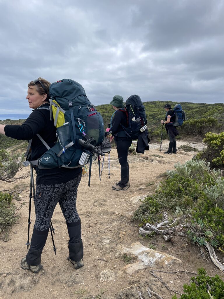 GOW Great Ocean Walk hike flamingo flock