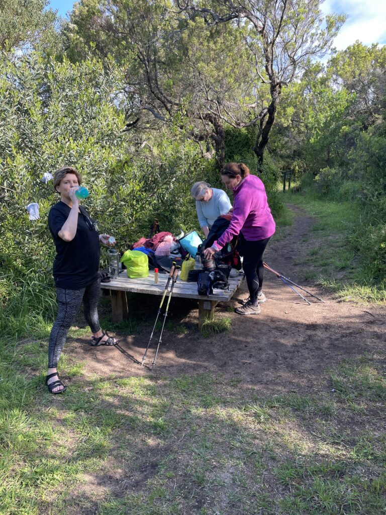 GOW Great Ocean Walk hike flamingo flock