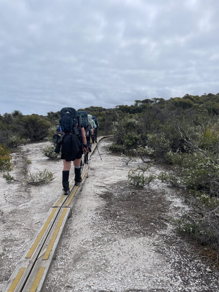 GOW Great Ocean Walk hike flamingo flock