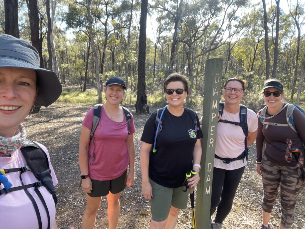 50 hikes flamingo flock