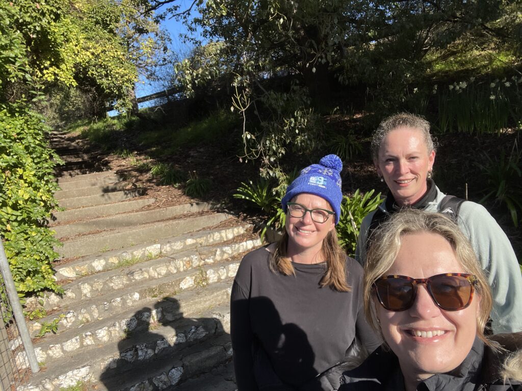 50 hikes flamingo flock