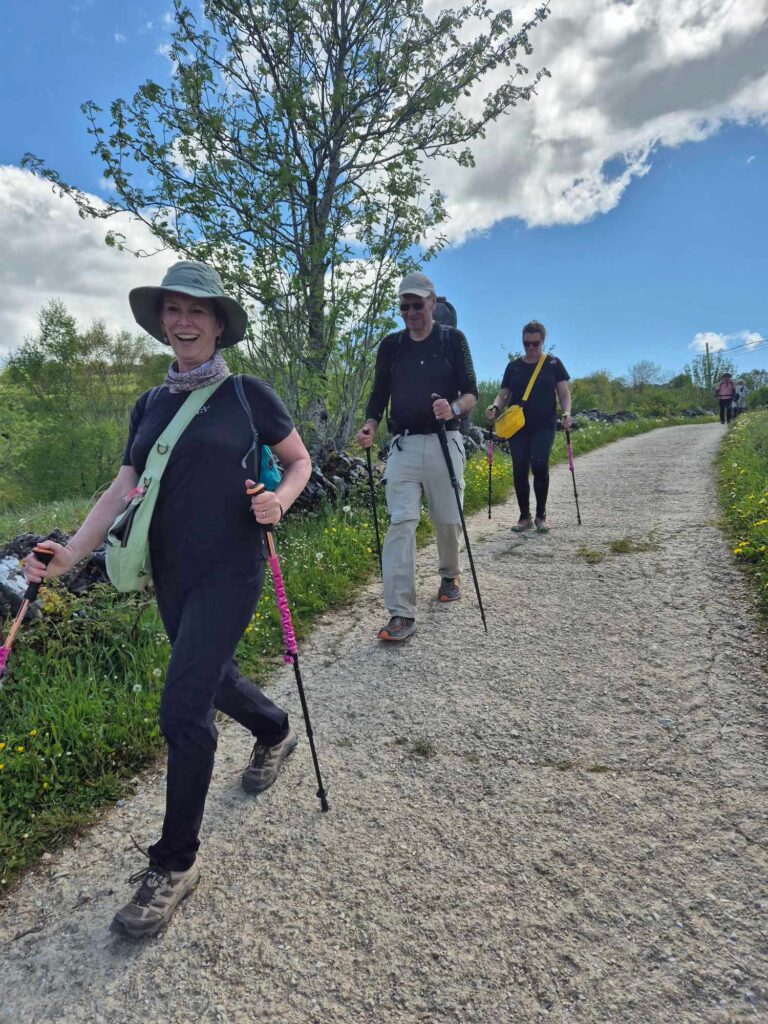 camino flamingo flock hike