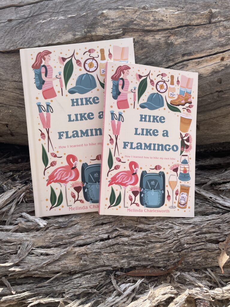 HIKE LIKE A FLAMINGO book