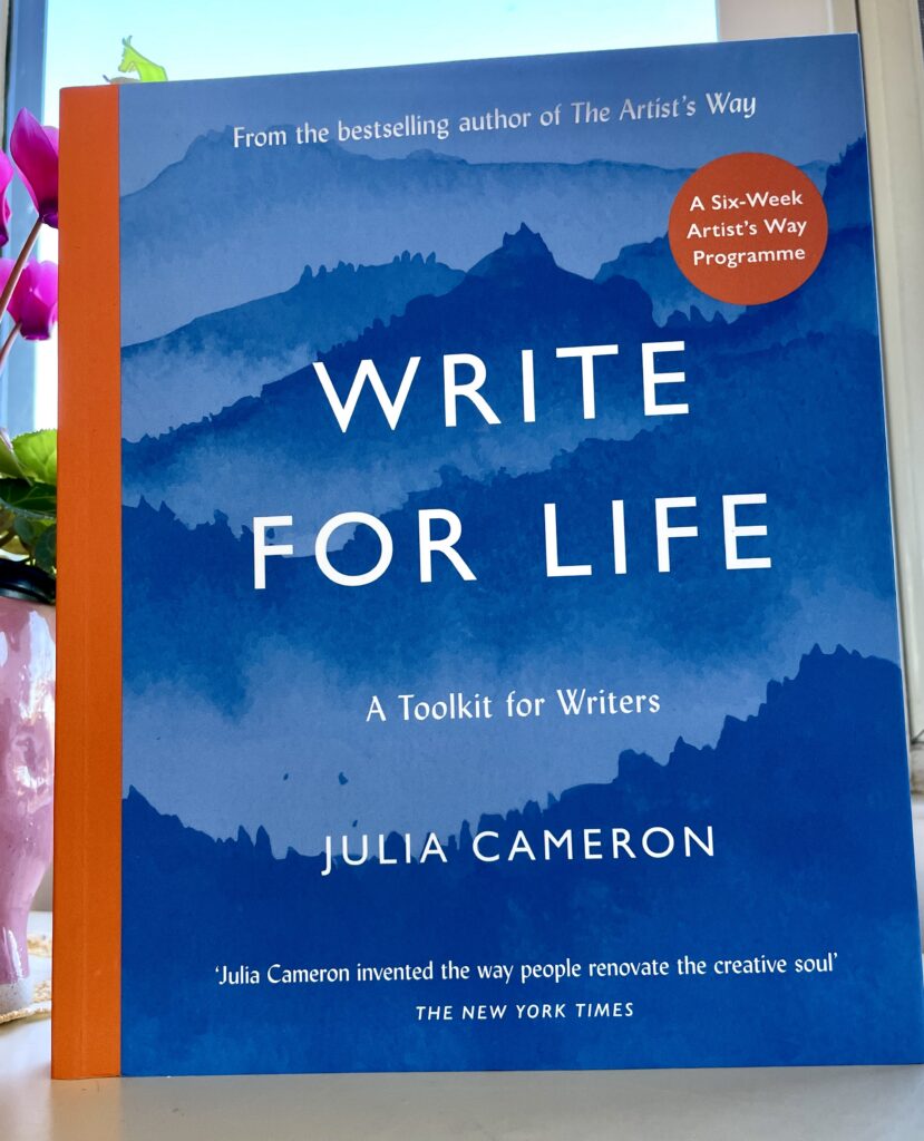 writing writer author book